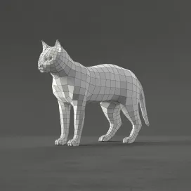 Cat 2